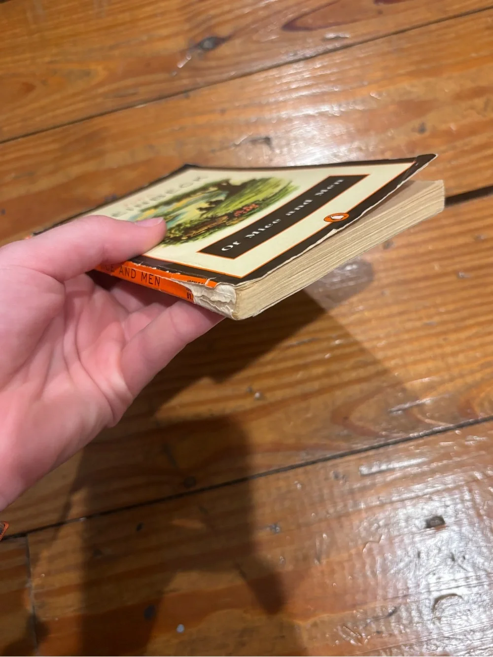 (618) OF MICE & MEN BOOK